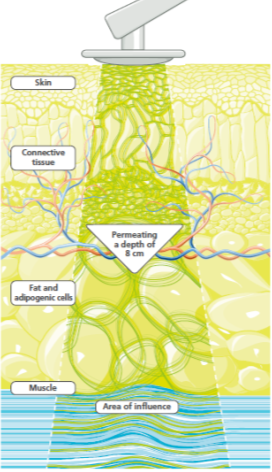 Massage by NGurgel | Hivamat Tissue Graph